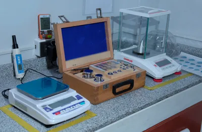 Imagen de la magnitud seleccionada