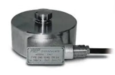 Imagen de la magnitud seleccionada